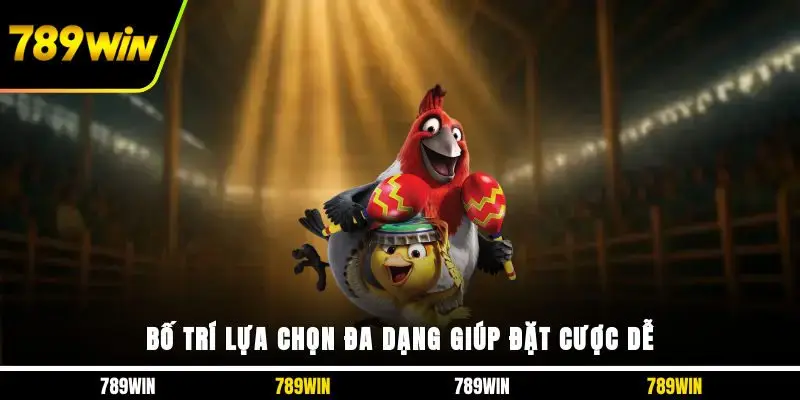 Bố trí lựa chọn đa dạng giúp đặt cược dễ