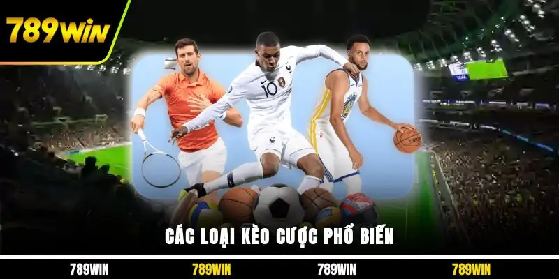 Các loại kèo cược phổ biến