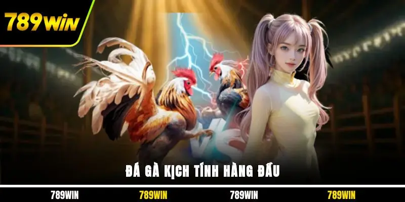 Đá gà kịch tính hàng đầu